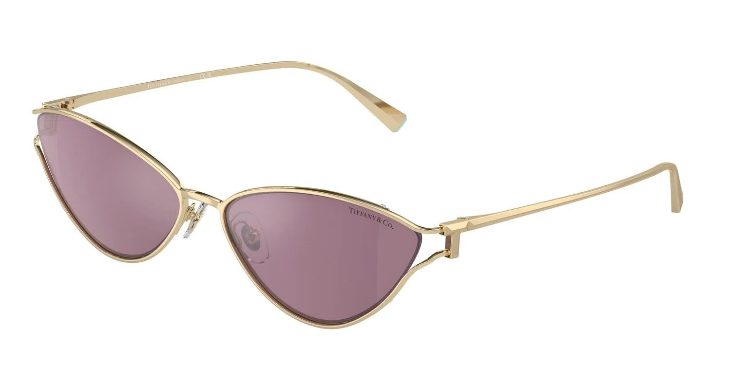 Tiffany 3095 Sunglasses - view 12